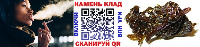 Купить закладки  Алексеевка  ГАШИШ убойный 